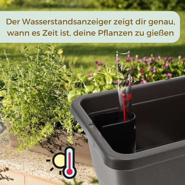 Blumenkasten mit Wasserstandsanzeiger im Garten