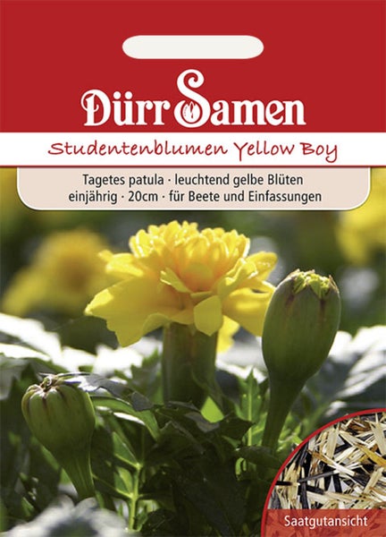Samenpackung für Studentenblumen Yellow Boy von Dürr Samen mit Abbildung einer blühenden Tagetes und Knospen.