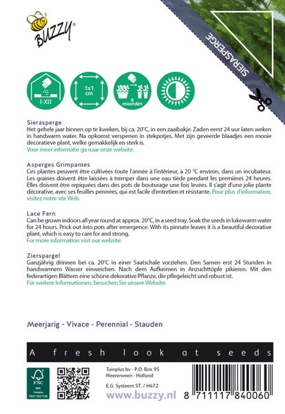 Buzzy Zierspargel Samenpackung mit Informationen zu Anbau und Pflege