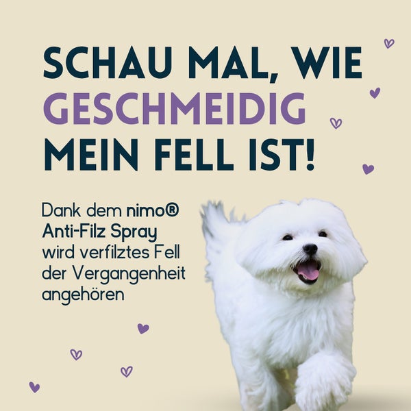 nimo® Anti Filz Spray für Hunde, Katzen • löst verfilztes Fell und erleichtert Kämmbarkeit
