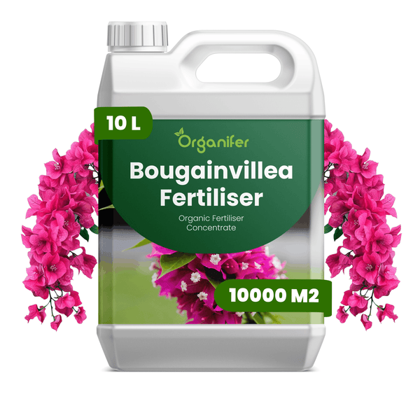 Organifer Logo, Bougainvillea-Dünger, organisches Düngerkonzentrat im 10 Liter Kanister für 10000 Quadratmeter, mit Bougainvillea-Blüten.