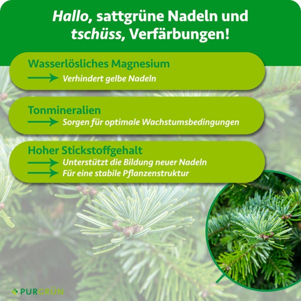 Infografik zu Nadelbaumdünger: Magnesium gegen Gelbfärbung, Tonmineralien für Wachstum, hoher Stickstoffgehalt für neue Nadeln. Purgrün Logo.