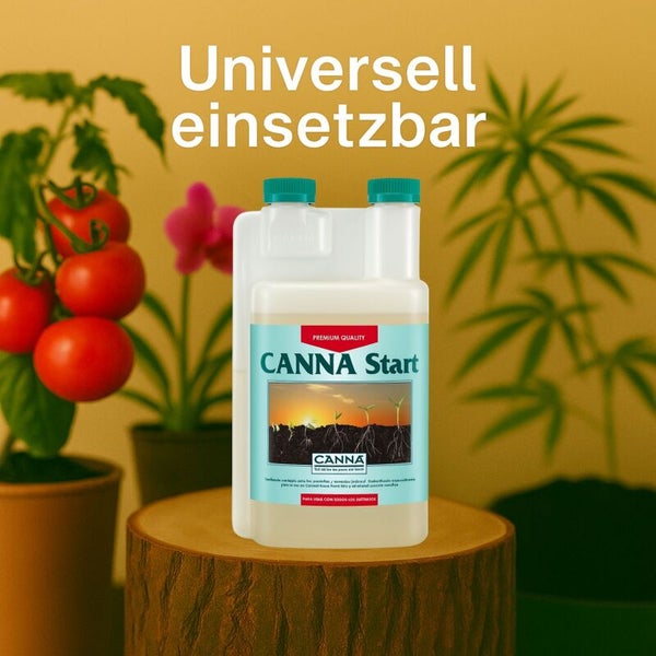 Eine Flasche Canna Start Dünger für Setzlinge und Stecklinge auf einem Holzstumpf vor Pflanzen.
