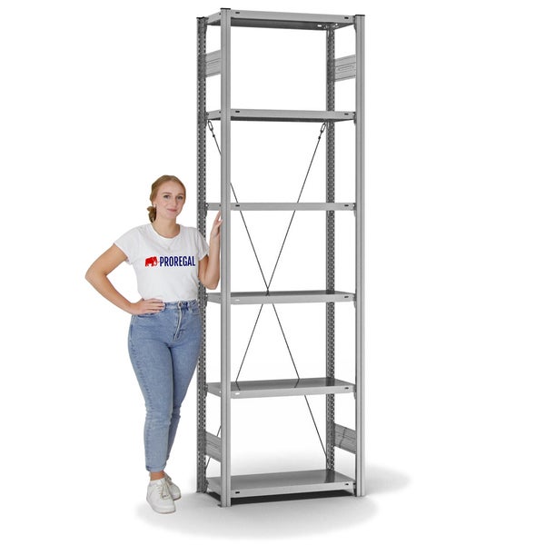PROREGAL Fachbodenregal Stecksystem T-Profil Light-Duty Grundregal HxBxT 250 x 75 x 30 cm 6 Ebenen Fachlast 150 kg Einseitig Nutzbar Verzinkt
