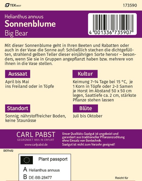 Rückseite der Samentüte Sonnenblume Helianthus annuus Big Bear von Carl Pabst mit Infos zu Aussaat und Kultur. Carl Pabst Logo. TEKWest Logo.