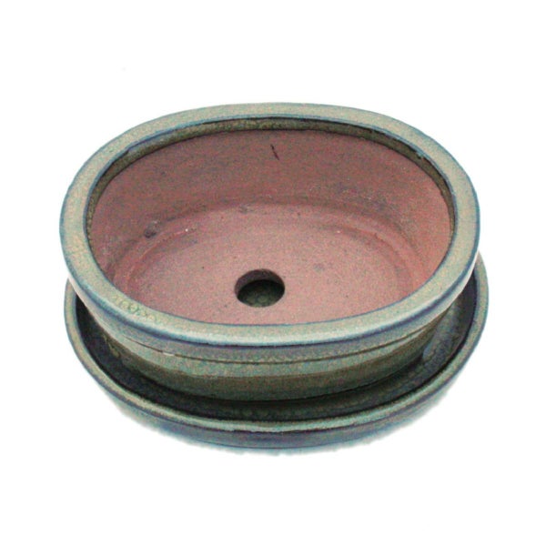 Ovaler Bonsai-Topf aus glasierter Keramik mit passendem Untersetzer und Drainageloch.