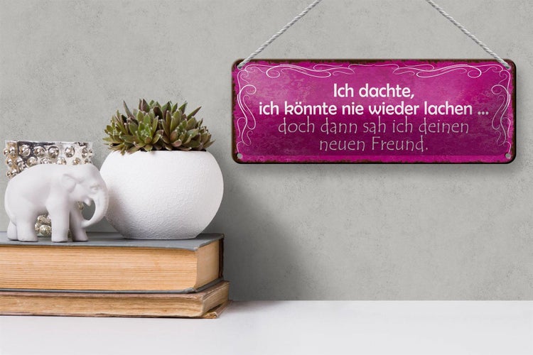 Blechschild Spruch 27x10cm Freund ich kann wieder lachen Dekoration