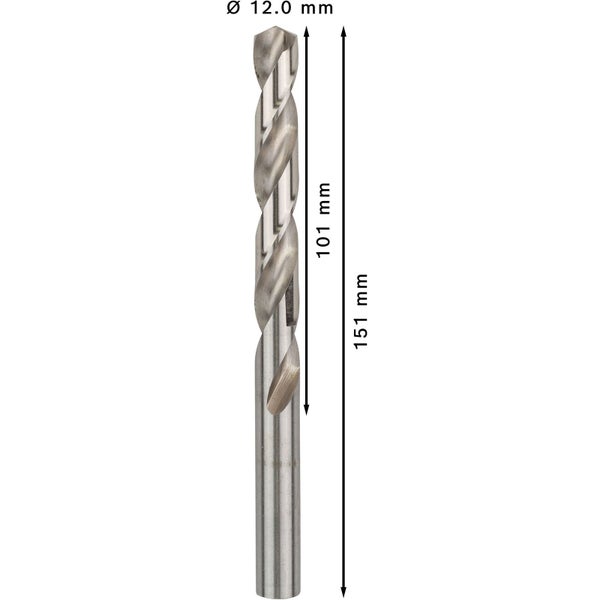 Bosch PRO Metal HSS-G Spiralbohrer 12 x 101 x 151 mm - 2608595081