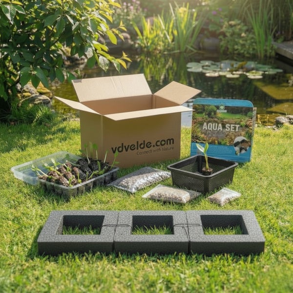Teichpflanzen-Set Aqua Set mit Wasserpflanzen, Pflanzkorb, Substrat und schwimmender Pflanzeninsel vor einem Gartenteich.