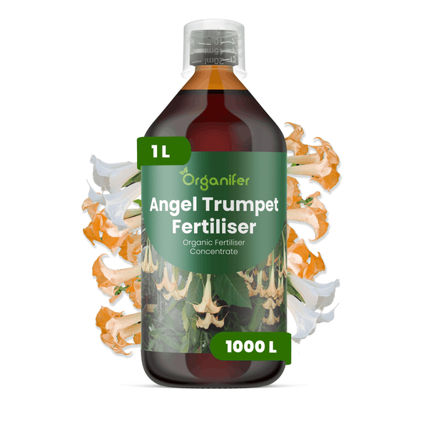 Organifer Engelstrompeten Dünger, 1 Liter Konzentrat für 1000 Liter, organischer Flüssigdünger für Brugmansia.
