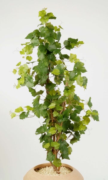 Künstliche Weinrebe mit grünen Blättern und naturgetreuem Stamm in einem runden Topf mit hellen Ziersteinen.