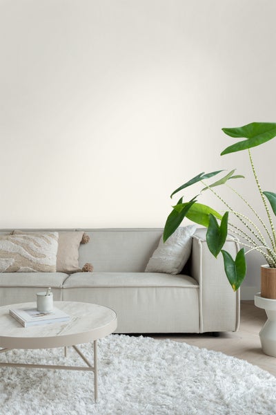 Wohnzimmer mit Sofa, Couchtisch, Zimmerpflanze und Teppich