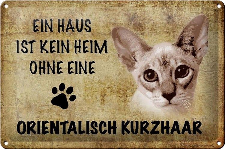 Blechschild Spruch 30x20cm orientalisch Kurzhaar ohne kein Heim