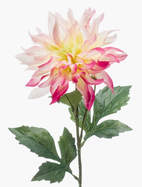 Künstliche Dahlie am Stiel, pink-weiß mit grünen Blättern.