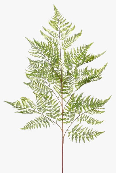 Künstlicher Farnzweig mit detailreichen grünen Blättern für Dekorationen.