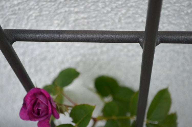 Rankgitter Brindisi Metall 170 cm gefächerte Form pulverbeschichtet anthrazit