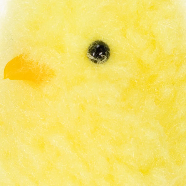 Nahaufnahme eines gelben Küken-Plüschtiers mit schwarzem Auge und Schnabel