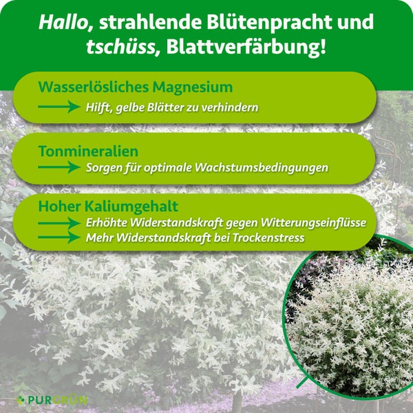 Infografik zum Purgrün Pflanzendünger mit Informationen zu Magnesium, Tonmineralien und Kalium für gesunde Pflanzen im Garten.