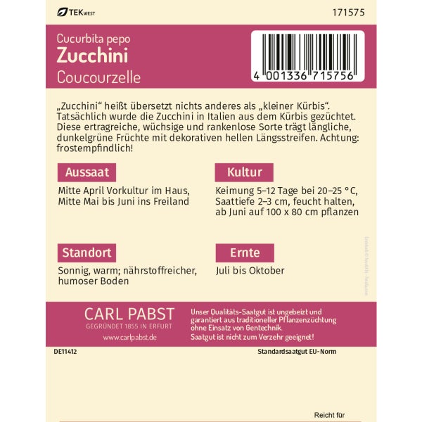 Zucchini wüchsig & rankenlos Coucourzelle Samen von Pabst Keimkraft