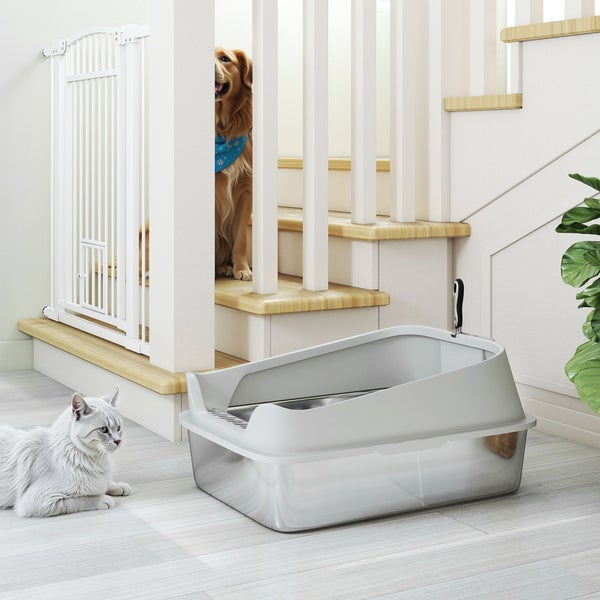 Edelstahl-Katzenklo mit hohem Rand und Schaufel, weiße Katze im Vordergrund, Hund hinter weißem Schutzgitter auf der Treppe.