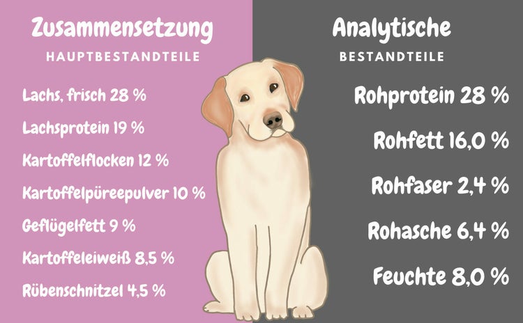 Premium Welpen (1 x 8 kg) Junior Trockenfutter getreidefrei mit Lachs | Hypoallergenes Welpenfutter für große & kleine Rassen ab dem 2ten Monat