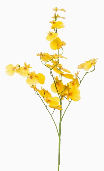 Künstliche Pflanzenwand mit verschiedenen grünen Farnen und Blättern auf einem Gitter.