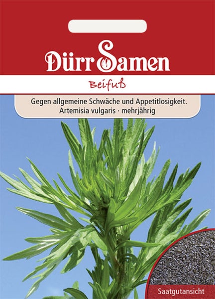 Samentüte Beifuß Artemisia vulgaris von Dürr Samen mit Abbildung der Pflanze und einer Nahaufnahme der Samen.