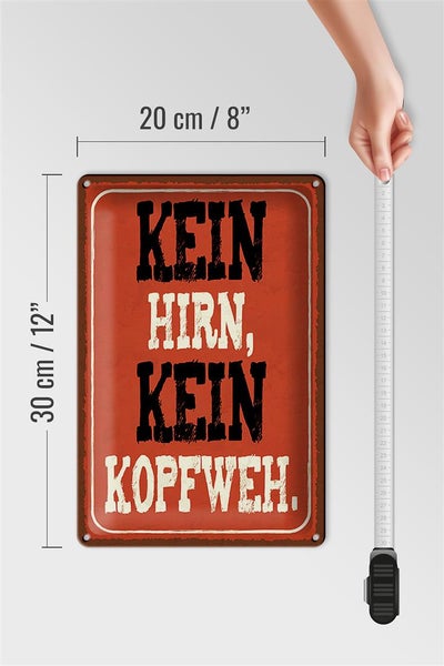 Blechschild Spruch 20x30cm kein Hirn kein Kopfweh