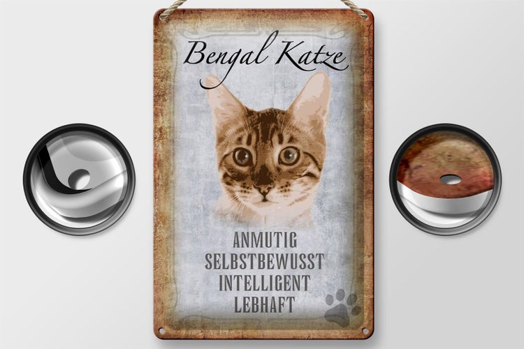 Blechschild Spruch 20x30cm Bengal Katze Schild