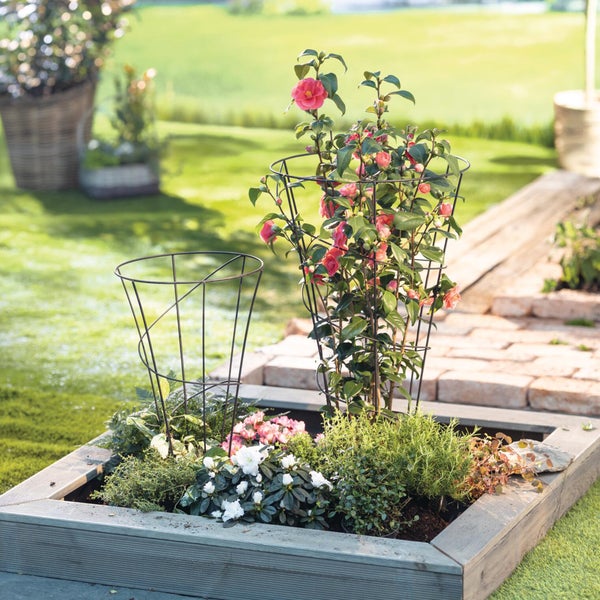 Hölzernes Pflanzbeet mit grünen Pflanzen, rosa Blüten und zwei kegelförmigen Rankhilfen aus Metall in einem Garten.