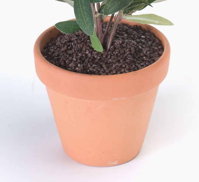 Detailansicht einer künstlichen Calathea Pflanze mit dunkelgrün und violett gestreiften Blättern.