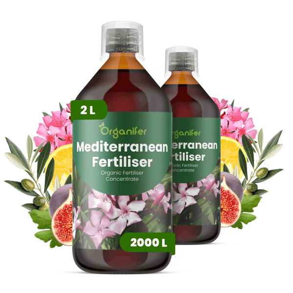 Zwei Flaschen Organifer Mediterraner Dünger, organisches Düngerkonzentrat, jeweils 2 Liter, für mediterrane Pflanzen.