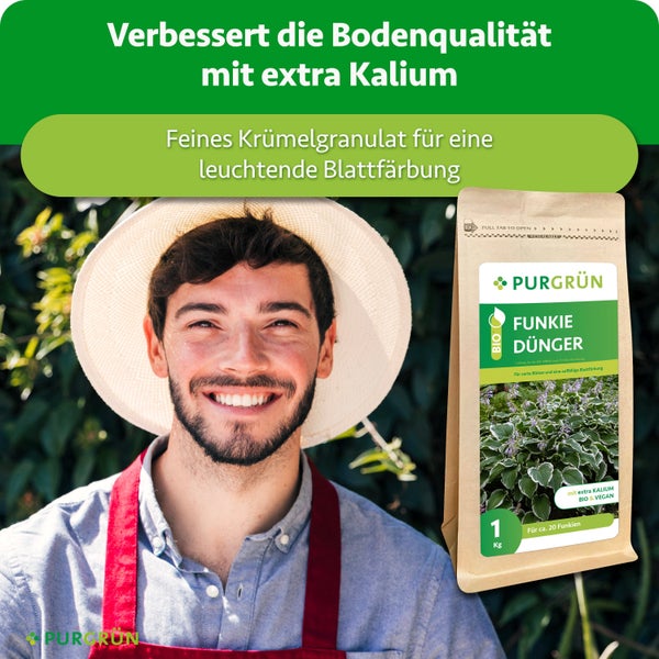 Frau hält eine Pflanze neben einer Auswahl an Purgrün Spezialdüngern für Zimmer, Balkon und Garten.