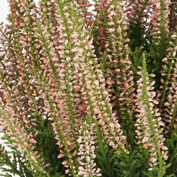 Künstlicher Phlox-Zweig mit weißen Blüten, lila Mitte und grünen Blättern.