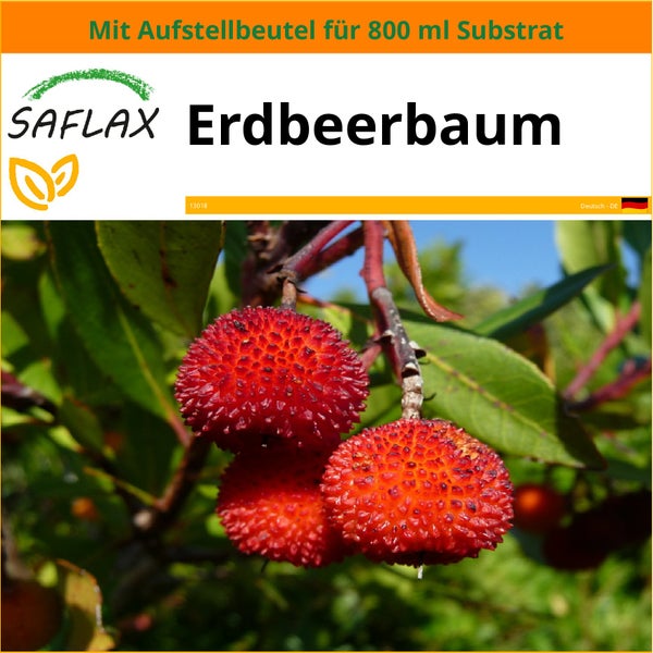 SAFLAX Garden in the bag - Erdbeerbaum - Arbutus unedo - 50 Samen - Mit Anzuchtsubstrat im praktischen, selbst aufstellenden Beutel