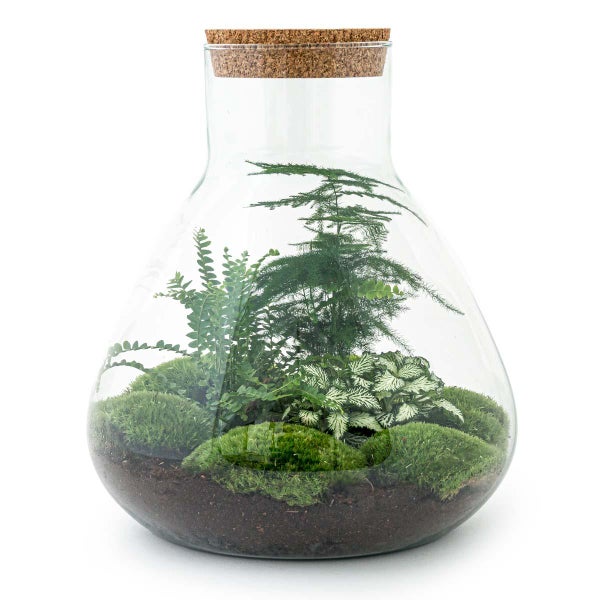 Flaschengarten Sam XL - DIY-Pflanzenterrarium - 35cm - incl. Rechen und Schaufel