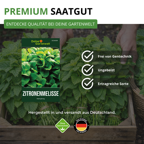 Premium Saatgut Zitronenmelisse von Deine Gartenwelt, gentechnikfrei, ungebeizt, ertragreich und mehrjährig, hergestellt in Deutschland.