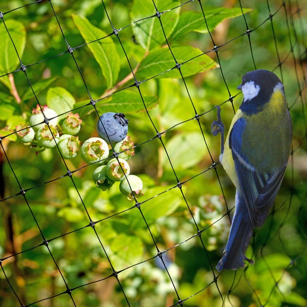 FLOORDIREKT Vogelschutznetz - Schutz von Bäumen & Sträuchern - 2 x 10 m