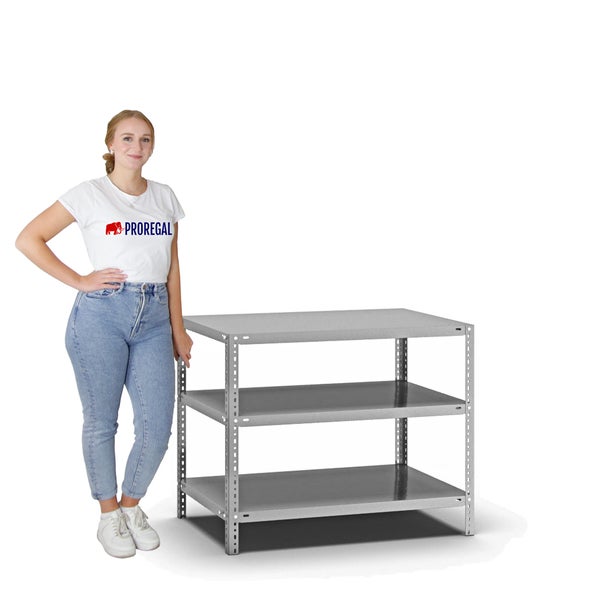 PROREGAL Fachbodenregal Schraubsystem Light-Duty Grundregal HxBxT 80 x 100 x 60 cm 3 Ebenen Fachlast 125 kg Beidseitig Nutzbar Verzinkt