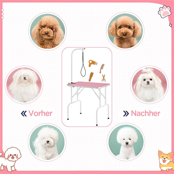 Hundetrimmtisch mit Zubehör und Hundefrisuren vorher und nachher