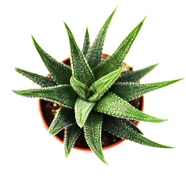 Grauer Vorhang mit Faltenbandaufhängung an einer Gardinenstange