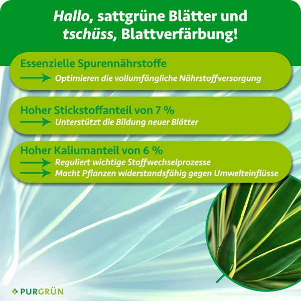Infografik zu Pflanzendünger mit Details zu Spurennährstoffen, 7 Prozent Stickstoff und 6 Prozent Kalium für gesunde Blätter. Purgrün Logo.