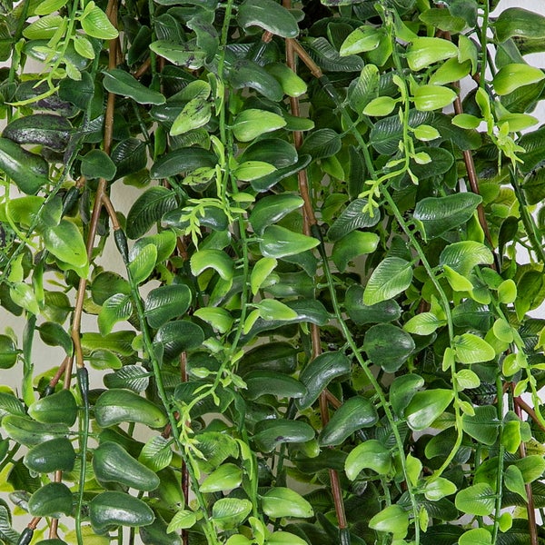 Künstliche Hängepflanze mit kleinen grünen Blättern an braunen Zweigen.