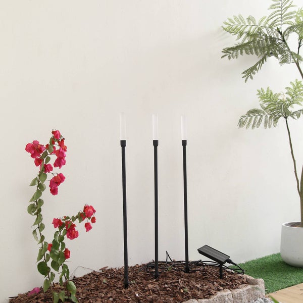 Drei schwarze Solar-Gartenleuchten in Stabform mit externem Solarpanel in einem Beet mit Rindenmulch neben einer Pflanze mit pinkfarbenen Blüten.