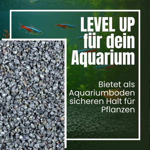 Aquarienkies als Bodengrund für Aquarienpflanzen