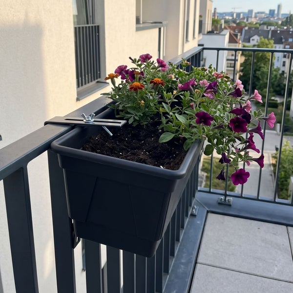 Moderner Balkonkasten aus Kunststoff mit Metallhalterung am Balkongeländer montiert, bepflanzt mit blühenden Blumen in einer hellen Umgebung.