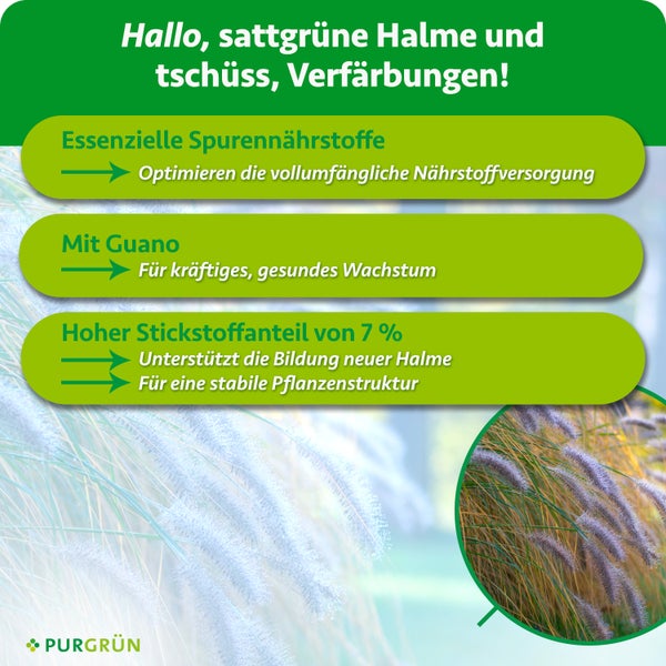 Infografik zum Purgrün Rasendünger mit Hinweisen zu Spurennährstoffen, Guano und Stickstoffgehalt für ein gesundes und kräftiges Rasenwachstum.