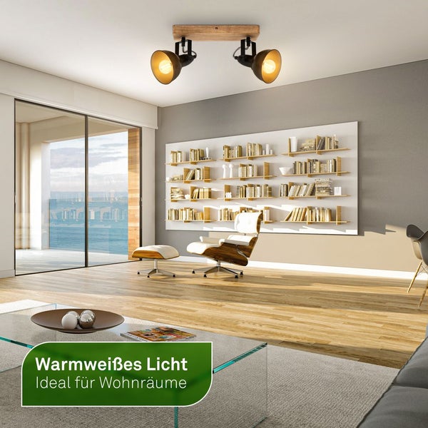 Kissenkiefer im Gartenbeet zwischen Steinen und anderen Pflanzen