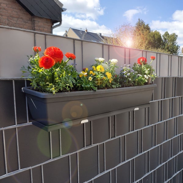 Blumenkasten mit verschiedenen Blumen am Zaun