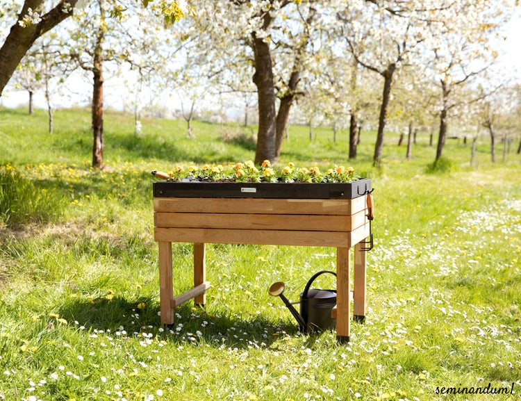 WONDERMAKE - Großes Hochbeet aus Kirschbaum Holz für Garten Balkon Terrasse, Pflanzkasten Bausatz XL hochwertig rechteckig mit Innen-Folie, Kräuterbeet Pflanzenkasten deko, dunkel-braun schwarz